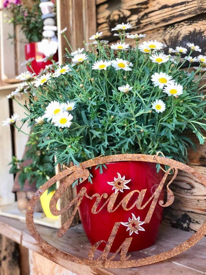 Heidelberg - Fam Fuchs Guest house Hopfgarten im Brixental